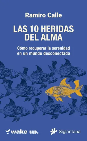 LAS 10 HERIDAS  DEL ALMA