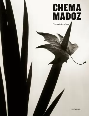 CHEMA MADOZ. CHEMA MADOZ.