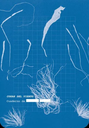 COSAS DEL VIENTO