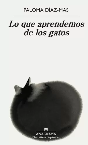 LO QUE APRENDEMOS DE LOS GATOS LO QUE APRENDEMOS DE LOS GATOS